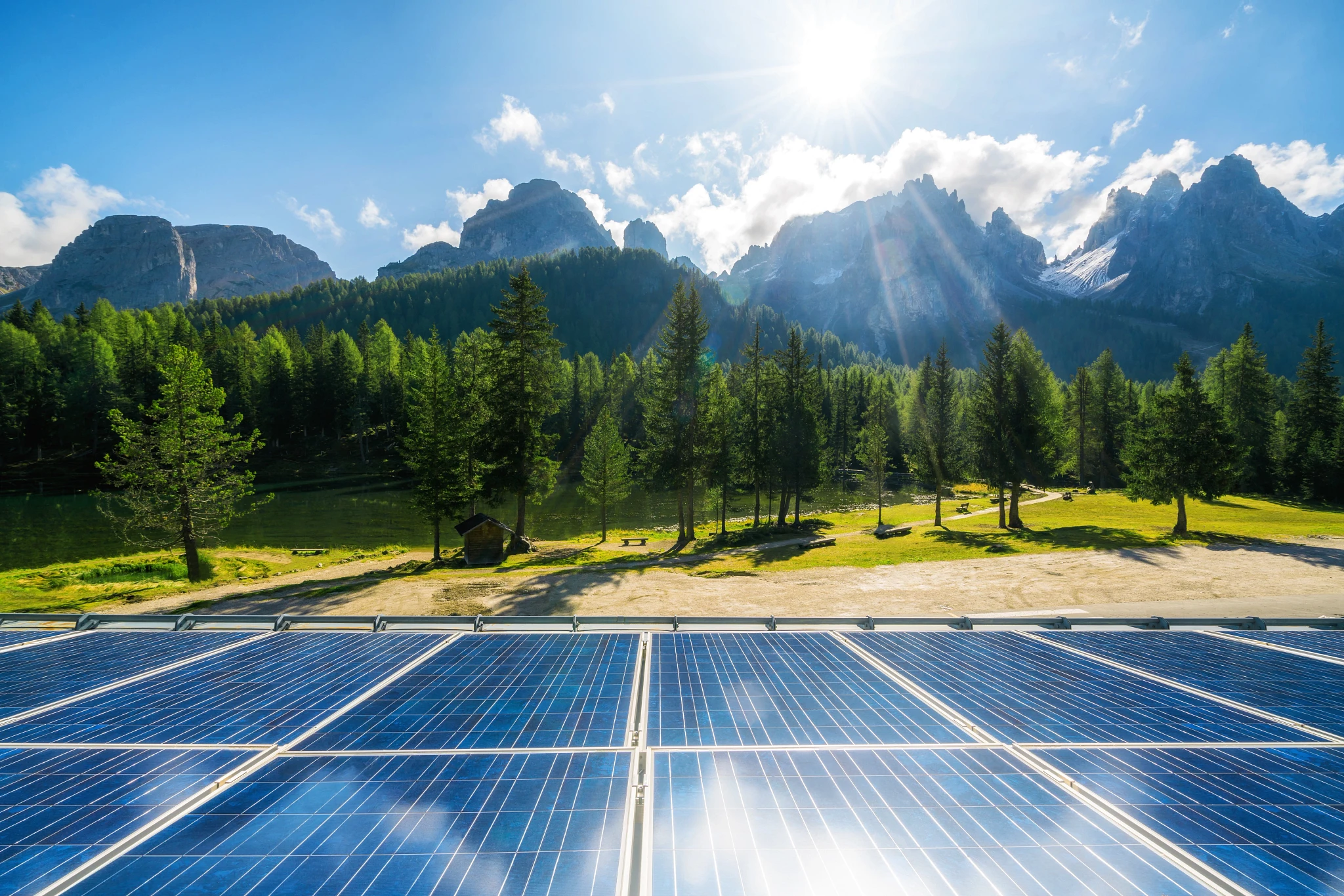 Solar Panels near a Forest